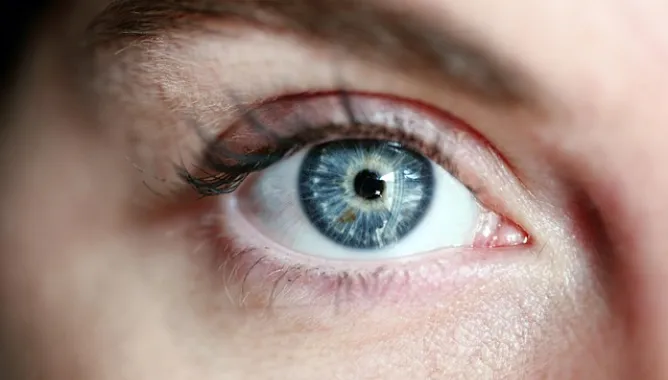 eye, blue eye, woman, eye lashes, portrait, skin, girl, vision, female, eyesight, eyelash, eyeball, look, eye, eye, eye, eye, eye