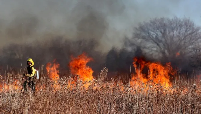 firefighter, fire, flames, smoke, burn, burning, grass fire, wildfire, firefighting, wildfire, wildfire, wildfire, wildfire, wildfire