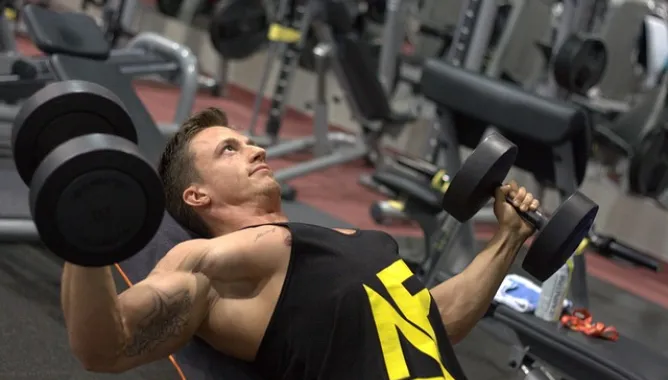 man, training, dumbbells, strengthening, muscles, gym, fitness, athlete, muscular, sport, exercise, bodybuilder, gym, bodybuilder, bodybuilder, bodybuilder, bodybuilder, bodybuilder