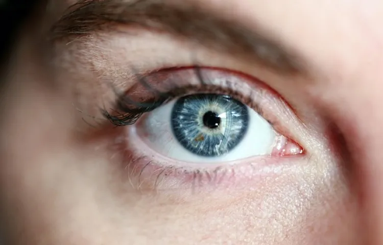 eye, blue eye, woman, eye lashes, portrait, skin, girl, vision, female, eyesight, eyelash, eyeball, look, eye, eye, eye, eye, eye