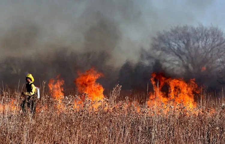firefighter, fire, flames, smoke, burn, burning, grass fire, wildfire, firefighting, wildfire, wildfire, wildfire, wildfire, wildfire