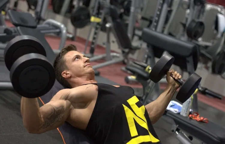 man, training, dumbbells, strengthening, muscles, gym, fitness, athlete, muscular, sport, exercise, bodybuilder, gym, bodybuilder, bodybuilder, bodybuilder, bodybuilder, bodybuilder
