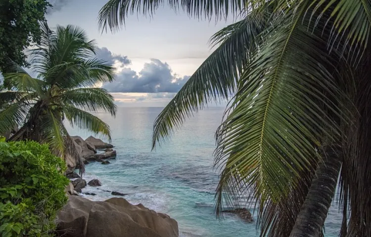 seychelles, landscape, sea, beach, nature, ocean, island, blue, tropical, travel, water, tropics, blue sky, rock, sky, paradise, seaside, holiday, palm, summer, vacations