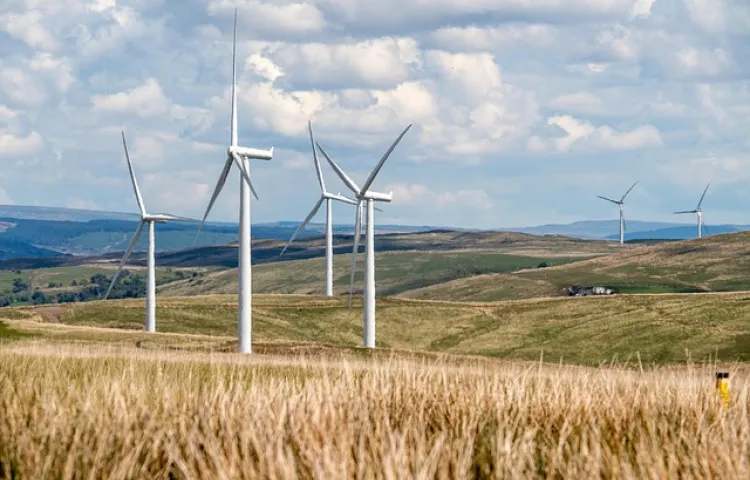 wind energy, wind farm, wind turbines, windmills, countryside, renewable energy, clean energy, wind energy, wind energy, wind energy, wind farm, wind farm, wind farm, wind turbines, wind turbines, renewable energy, renewable energy, renewable energy, renewable energy, renewable energy, clean energy, clean energy, clean energy