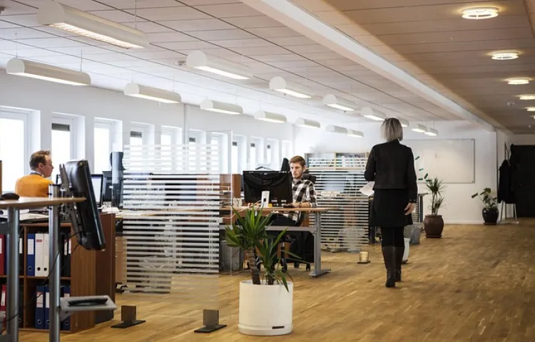 office, business, company, office, office, office, office, office