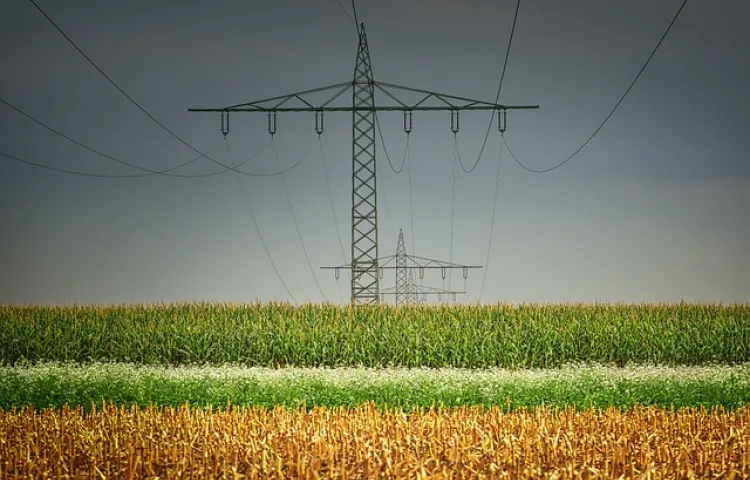 electricity, mast, field, grain, energy, cable, voltage, power line, industry, landscape, power pole, high voltage, network